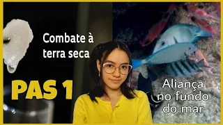 COMBATE À TERRA SECA E ALIANÇA NO FUNDO DO MAR| Obras para o PAS 1