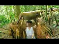 Download Lagu CEO leaves the city for the forest, Experience selling wild boar meat at the market