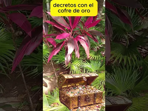 Decreta abundancia con el cofre prosperidad.