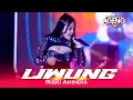 Download Lagu Lewung Riski Anindia Ageng Music Live Apsela Wonokerto Pekalongan