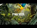 Download Lagu Mentol @ DanceFM Weekend Mood 052