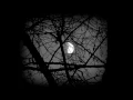 Myst on the Moor by Kevin MacLeod (No copyright music)