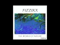 Download Lagu Fizzikx - Dark Side