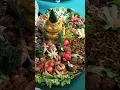 Download Lagu Acara Syukuran Wisuda, makan tumpeng mantap