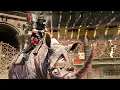 Download Lagu The Rhinoceros Fight | Gladiator 2 | CLIP