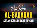 Download Lagu SURAH AL-BAQARA - Setan kabur Dari Rumah - Penenang Hati dan Pikiran by AHMAD ALSHALABI