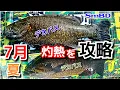 Download Lagu yasu July Summer Guide [Kawabasi Fishing] Small mouth bass Fishing July 2025