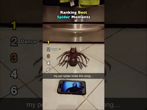 Ranking Best Spider Moments