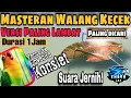 Masteran Walang Kecek Speed Paling Lambat Suara Kasar untuk Mengkonsletkan Burung Lovebird 1 Jam