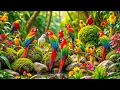 Download Lagu The Hidden Beauty of Wild Birds in Spring Wonderland – Nature’s Most Fascinating Secret Revealed