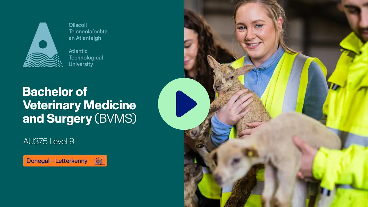 Veterinary Medicine and Surgery (BVMS) Course Video