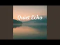 Quiet Echo