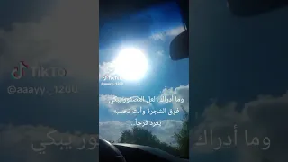 اسير اسير  وما ارضى النجاة  دندنها