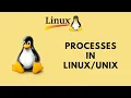 Processes in