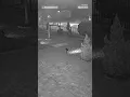 Doorbell shows high-powered weapons being fired in Florida neighborhood