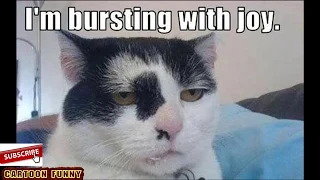 30 Most Funny Sarcastic Quotes of All Time
