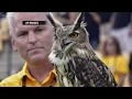 Kennesaw State loses beloved owl to contract dispute
