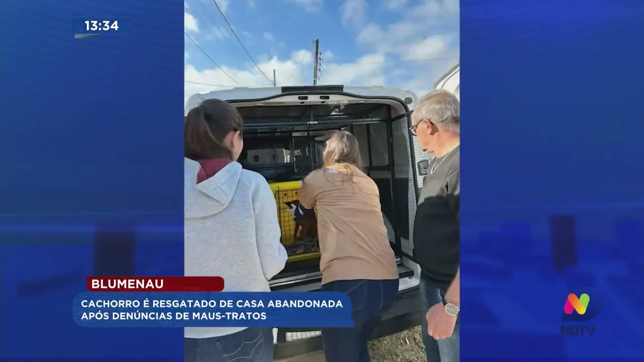 Cachorro é resgatado de casa abandonada após denúncias de maus tratos em Blumenau
