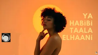                                             دندنها