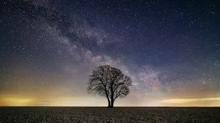 relaxing music with birds singing meditation music nuture animals mohd dilshad ansari blog