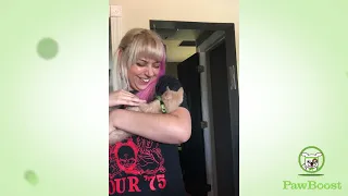 Simba s Happy Tail