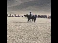 Download Lagu Incredible Horsemanship in Mongolia