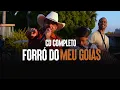Download Lagu Leãozinho do Forró || ÁUDIO COMPLETO || CD Forró do Meu Goiás
