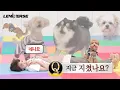 Download Lagu [LENIVERSE] 강아지 펫시터 : 지금 지쳤나요? 네니요 l EP.60