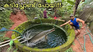 🔥മുതലക്ക് തിന്നാൻ കൊടുത്തതാ.. പക്ഷേ.. | Aligator Gar attack on nattive fish | fishing freaks
