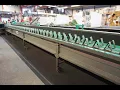 Total Systems flower processing line