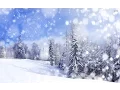 Snowfall animation in JS - JavaScript Tutorials