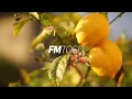 Download Lagu [No Copyright Music] Lemon Tree - G4M