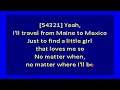 Sonics  - Have Love, Will Travel (karaoke)