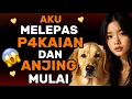 Download Lagu Saya tidak bisa bilang pasti apa yang terjadi – semuanya terasa begitu cepat dan membingungkan