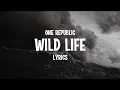 OneRepublic – Wild Life (Lyrics) (From The Original Movie ‘Clouds’)