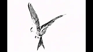 ليل موزي   الفكره                            دندنها