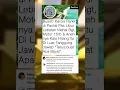 Download Lagu Karcis Mahal: \