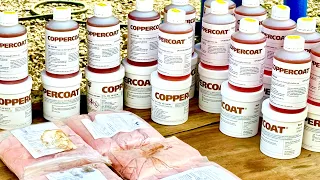 SSL755 ~ Finally.. time for COPPERCOAT !!