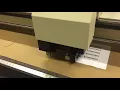 IMG 2826