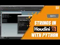 Day 5 - String in Houdini with Python Houdini 10 Day Introduction to Python