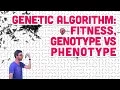 9 5 Genetic Algorithm Fitness Genotype vs Phenotype - The Nature of Code