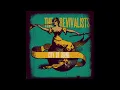 The Revivalists - Soulfight (live)