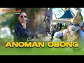 Download Lagu Della Monica ~ Anoman Obong || Live De Djawatan Forest Banyuwangi
