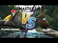 Download Lagu CILILIN VS PELATUK BAWANG | Masteran Terbaik Untuk Kacer dan Murai Jernih Durasi Panjang