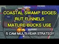 5 Cam Coastal Georgia Swamp Edge Strategy