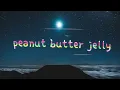 Galantis - Peanut Butter Jelly (Lyrics)