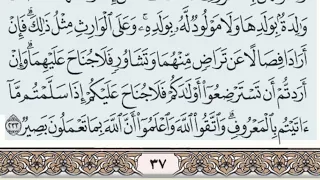 سورة البقرة من آية ٢٣٣ إلى آية ٢٤٢ دندنها