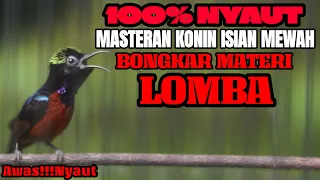 masteran suara konin juara nasional full materi pilihan juri