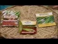 How to grow onions Trisha Shirey Central Texas Gardener