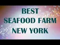 Seafood Farm in New York